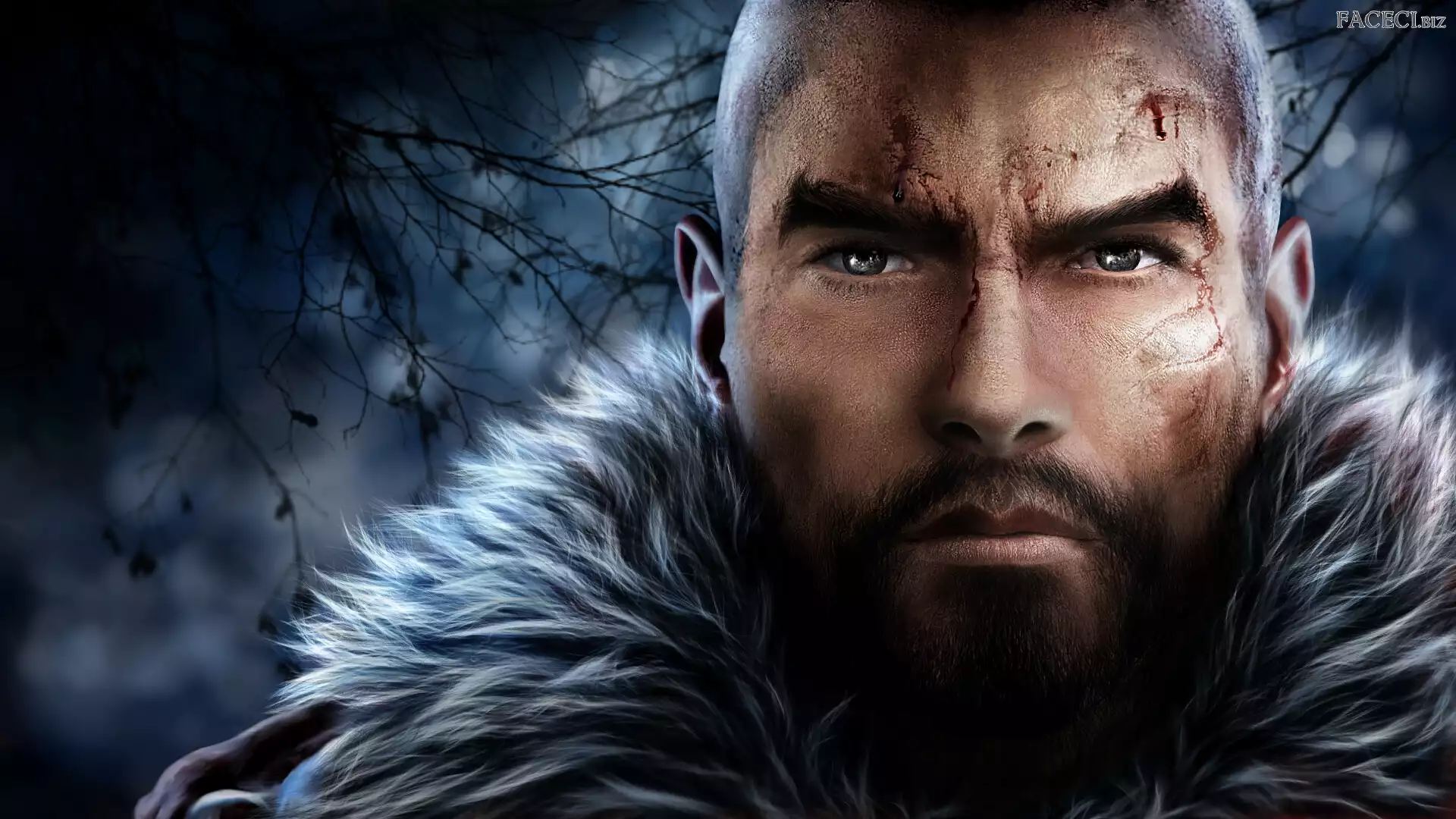 Grafika, Broda, Mężczyzna, Kołnierz, Futrzany, Blizny, Twarz, Wąsy